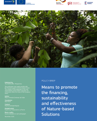 Means to promote the financing, sustainability and effectiveness of Nature-based Solutions